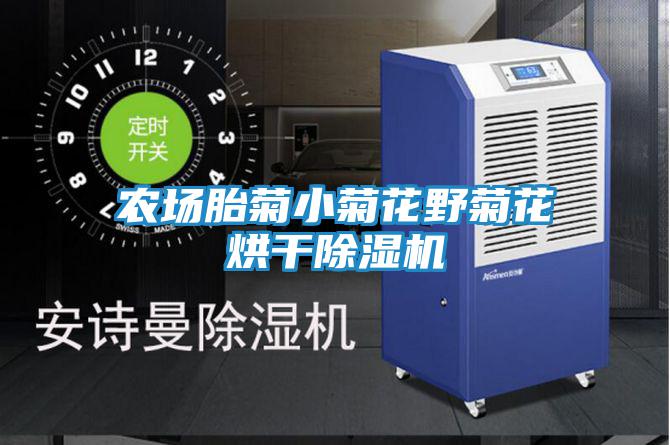 農(nóng)場胎菊小菊花野菊花烘干除濕機(jī)