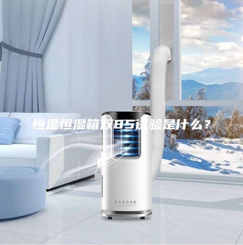 恒溫恒濕箱雙85試驗是什么?