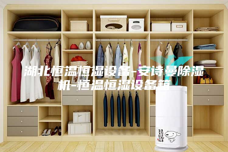 湖北恒溫恒濕設(shè)備-安詩(shī)曼除濕機(jī)-恒溫恒濕設(shè)備箱