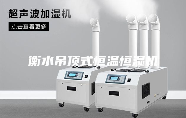 衡水吊頂式恒溫恒濕機