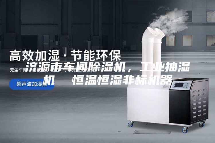 濟源市車間除濕機,工業抽濕機 恒溫恒濕非標機器