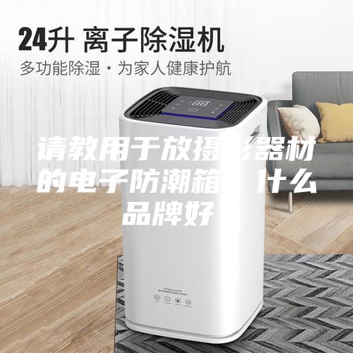 請(qǐng)教用于放攝影器材的電子防潮箱,什么品牌好?