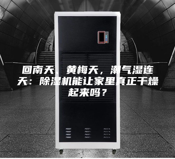 回南天、黃梅天，潮氣濕連天：除濕機能讓家里真正干燥起來嗎？