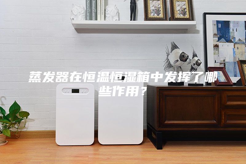 蒸發(fā)器在恒溫恒濕箱中發(fā)揮了哪些作用?