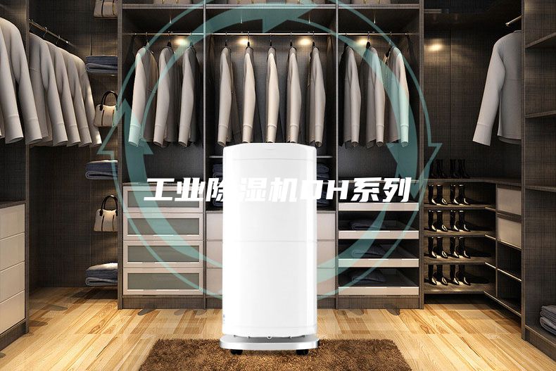 工業除濕機DH系列